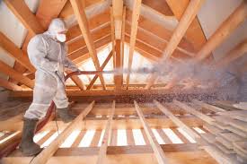 Types of Insulation We Offer in Lahaina, HI