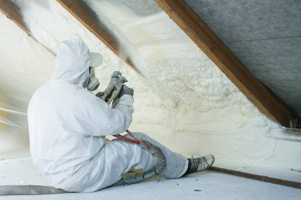 Professional Insulation Services in Lahaina, HI